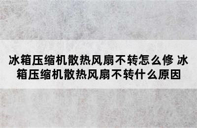 冰箱压缩机散热风扇不转怎么修 冰箱压缩机散热风扇不转什么原因